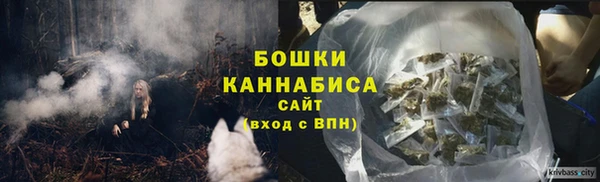 a pvp Горнозаводск