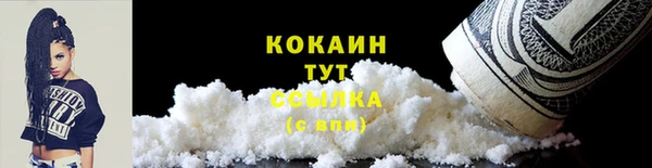 PSILOCYBIN Горняк