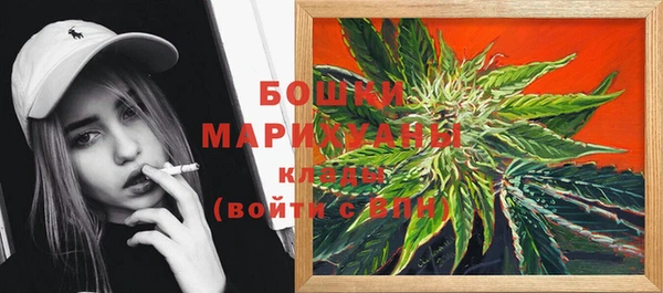 PSILOCYBIN Горняк
