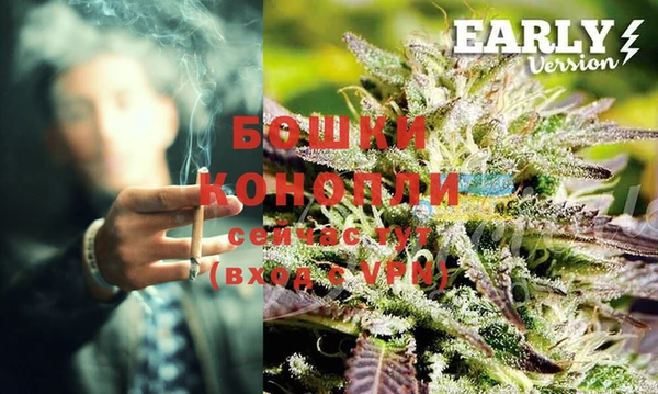 не бодяженный Тобольск
