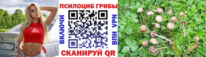 Галлюциногенные грибы прущие грибы  Ивангород 